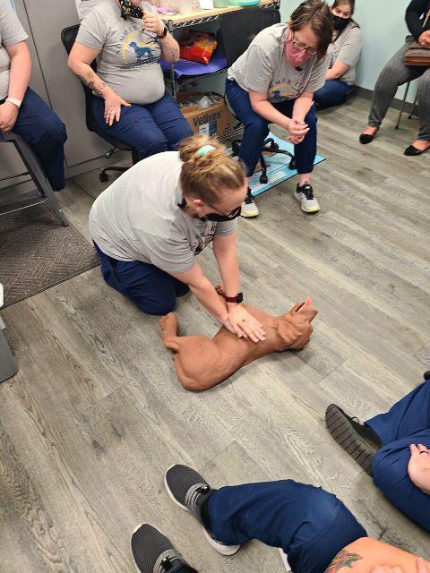 Continuing education at Summer Creek - CPR